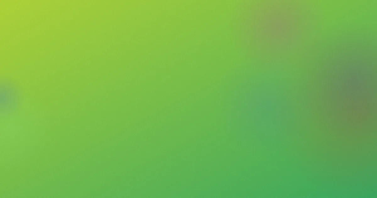 动漫靠逼视频避坑深度讲